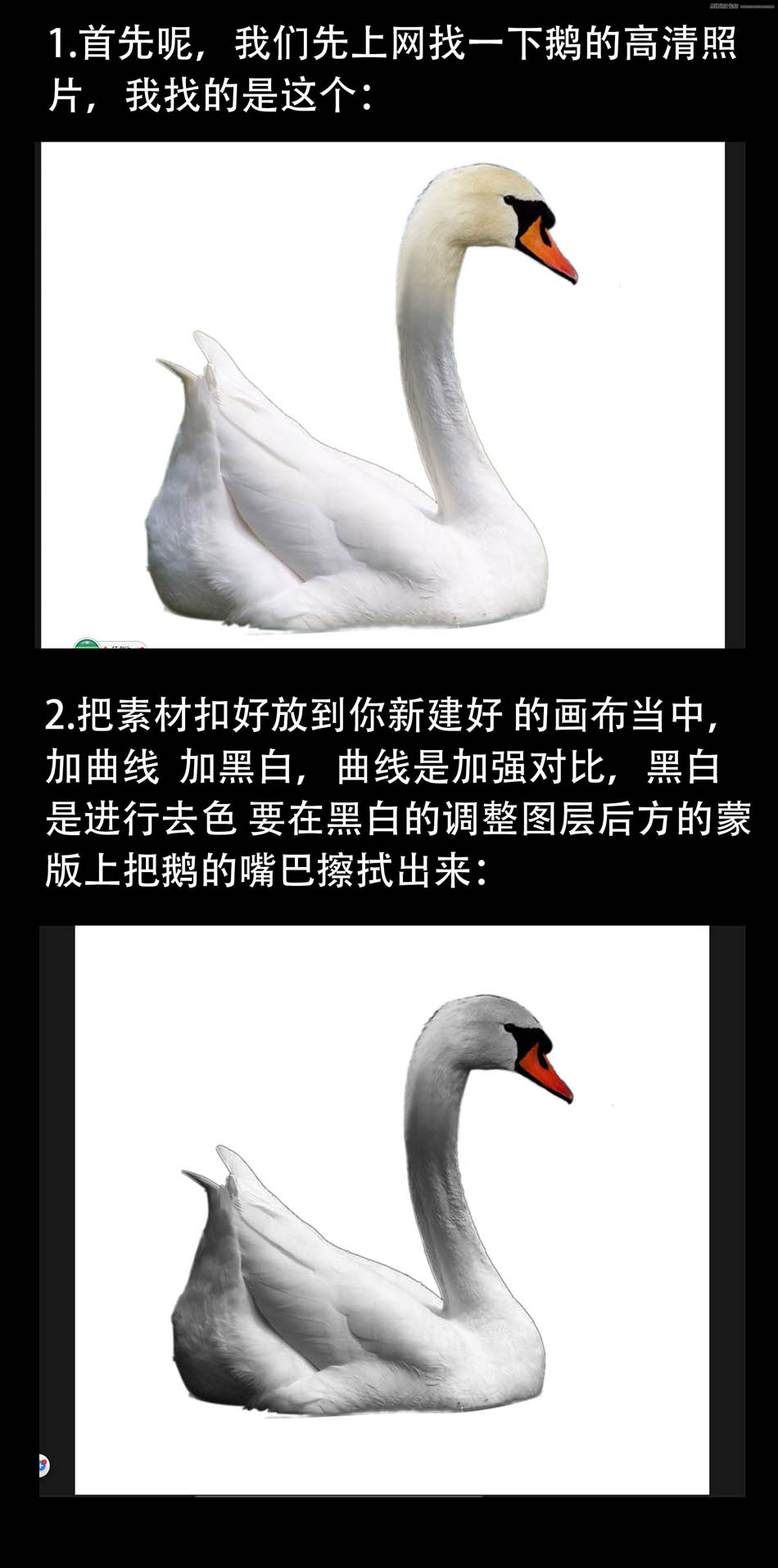 Photoshop设计超酷的黑天鹅海报教程,PS教程,PS家园网