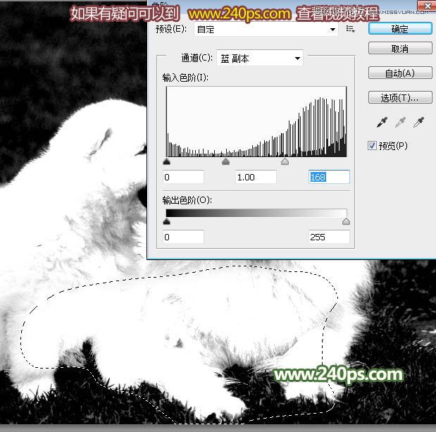 Photoshop完美的抠出毛茸茸的小狗照片,PS教程,PS家园网