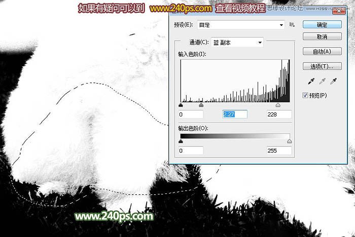 Photoshop完美的抠出毛茸茸的小狗照片,PS教程,PS家园网