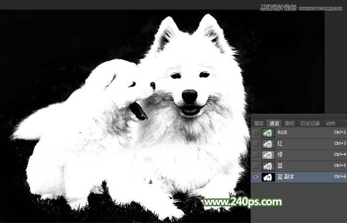 Photoshop完美的抠出毛茸茸的小狗照片,PS教程,PS家园网