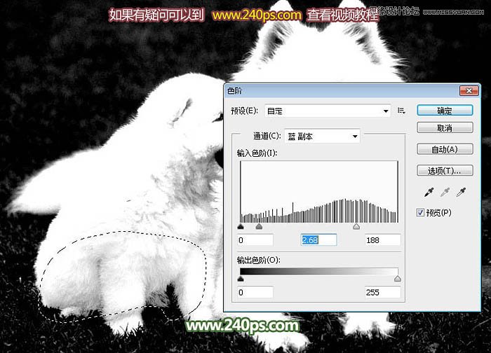 Photoshop完美的抠出毛茸茸的小狗照片,PS教程,PS家园网