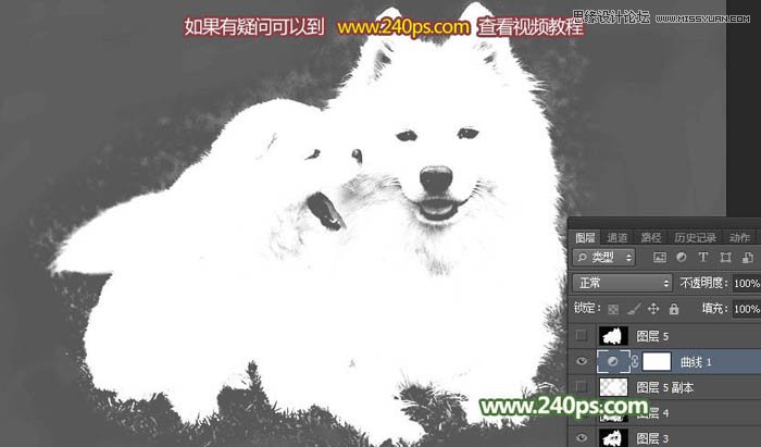Photoshop完美的抠出毛茸茸的小狗照片,PS教程,PS家园网