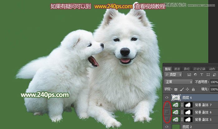 Photoshop完美的抠出毛茸茸的小狗照片,PS教程,PS家园网