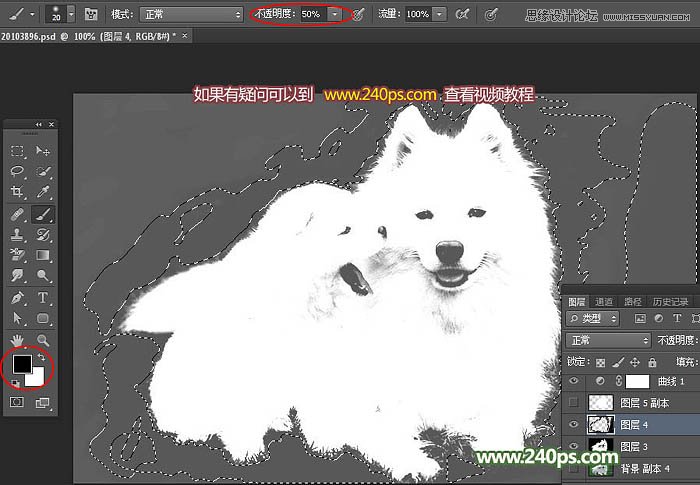 Photoshop完美的抠出毛茸茸的小狗照片,PS教程,PS家园网