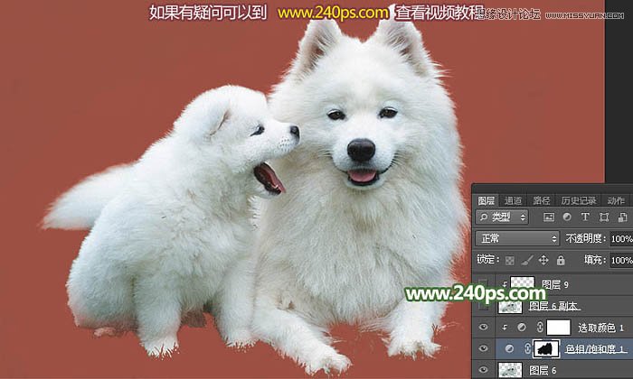 Photoshop完美的抠出毛茸茸的小狗照片,PS教程,PS家园网