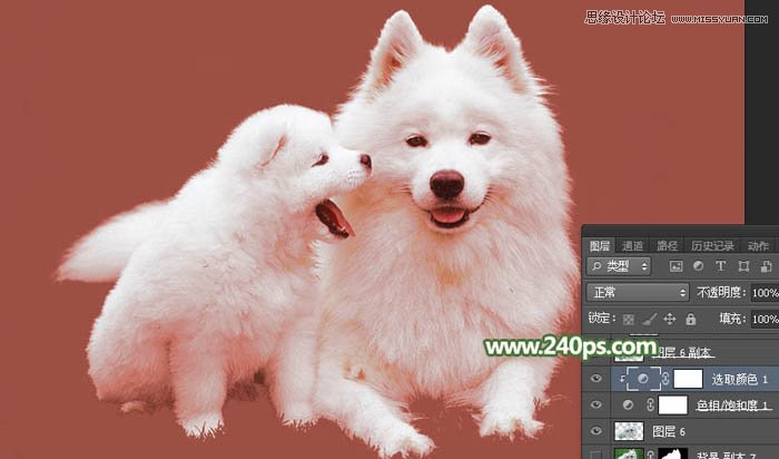 Photoshop完美的抠出毛茸茸的小狗照片,PS教程,PS家园网