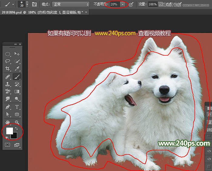 Photoshop完美的抠出毛茸茸的小狗照片,PS教程,PS家园网