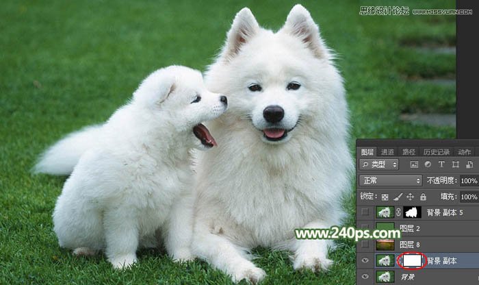 Photoshop完美的抠出毛茸茸的小狗照片,PS教程,PS家园网