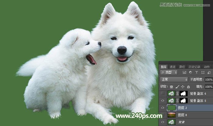 Photoshop完美的抠出毛茸茸的小狗照片,PS教程,PS家园网