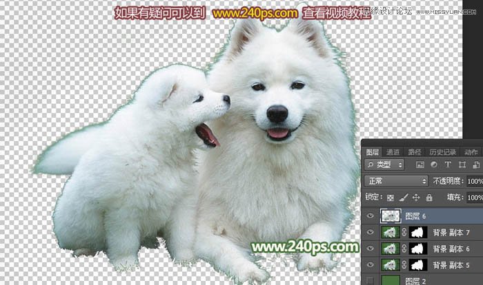 Photoshop完美的抠出毛茸茸的小狗照片,PS教程,PS家园网
