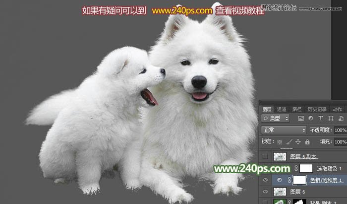 Photoshop完美的抠出毛茸茸的小狗照片,PS教程,PS家园网