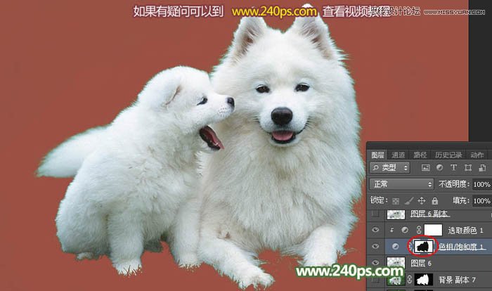 Photoshop完美的抠出毛茸茸的小狗照片,PS教程,PS家园网