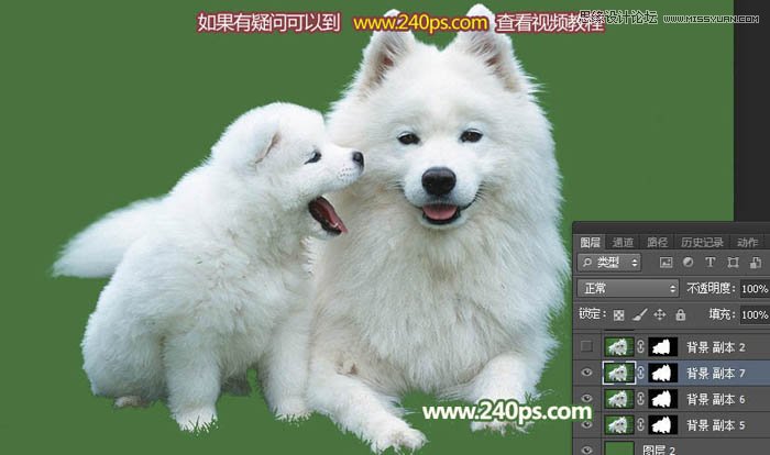 Photoshop完美的抠出毛茸茸的小狗照片,PS教程,PS家园网