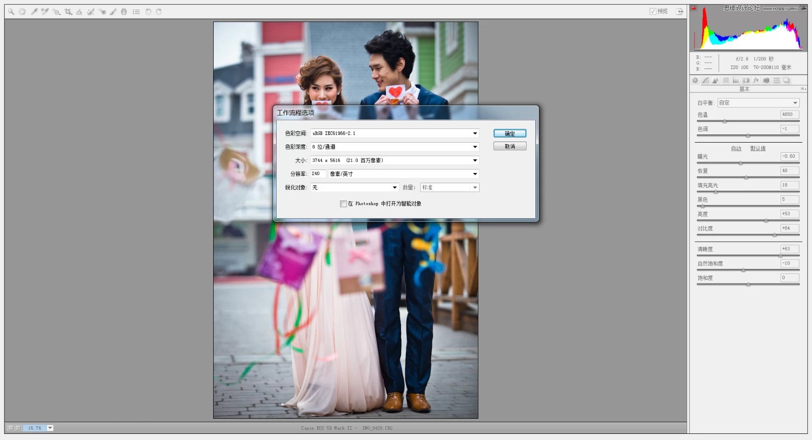 Photoshop调出婚纱照片韩式小清新效果图,PS教程,PS家园网