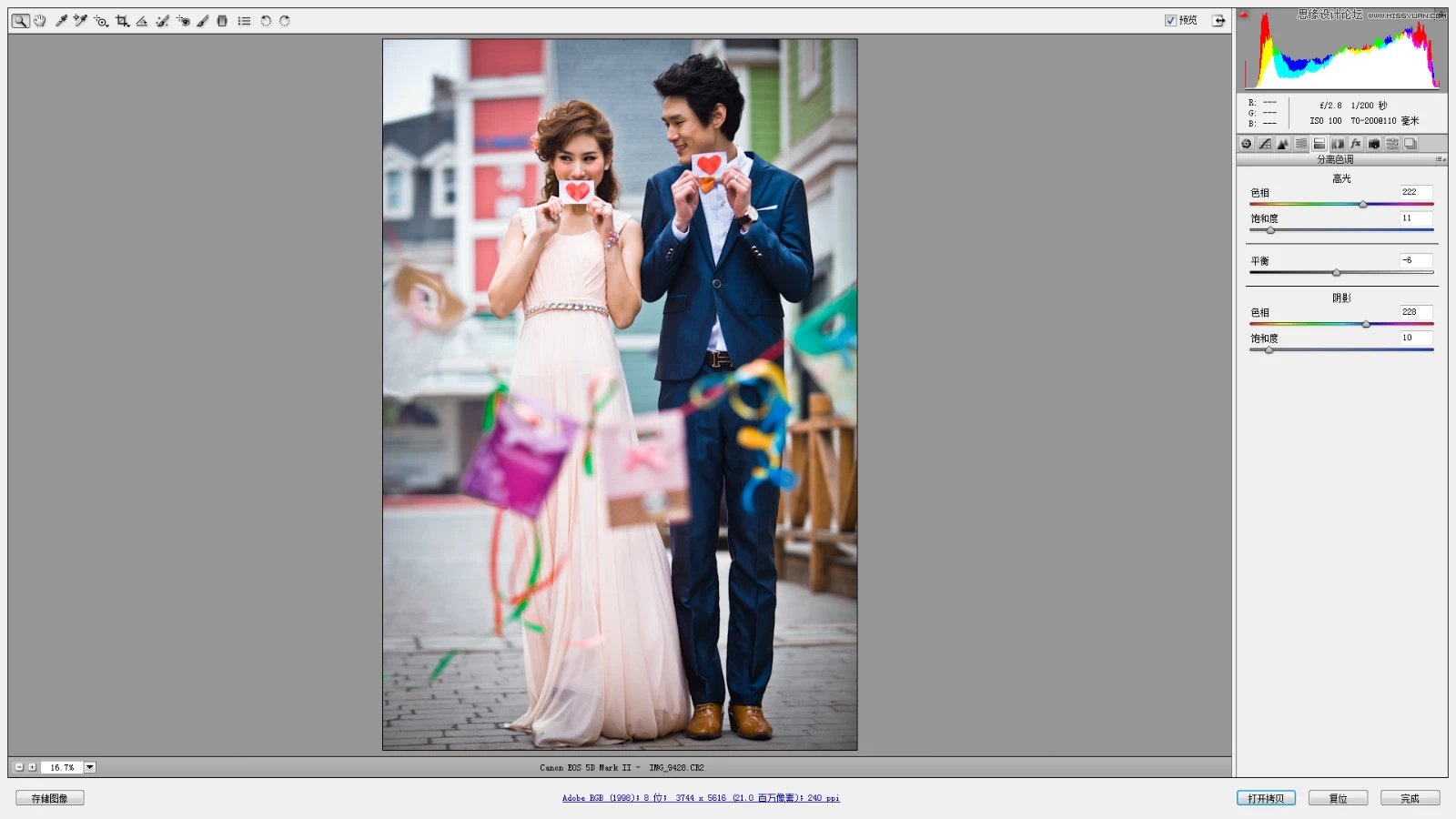 Photoshop调出婚纱照片韩式小清新效果图,PS教程,PS家园网