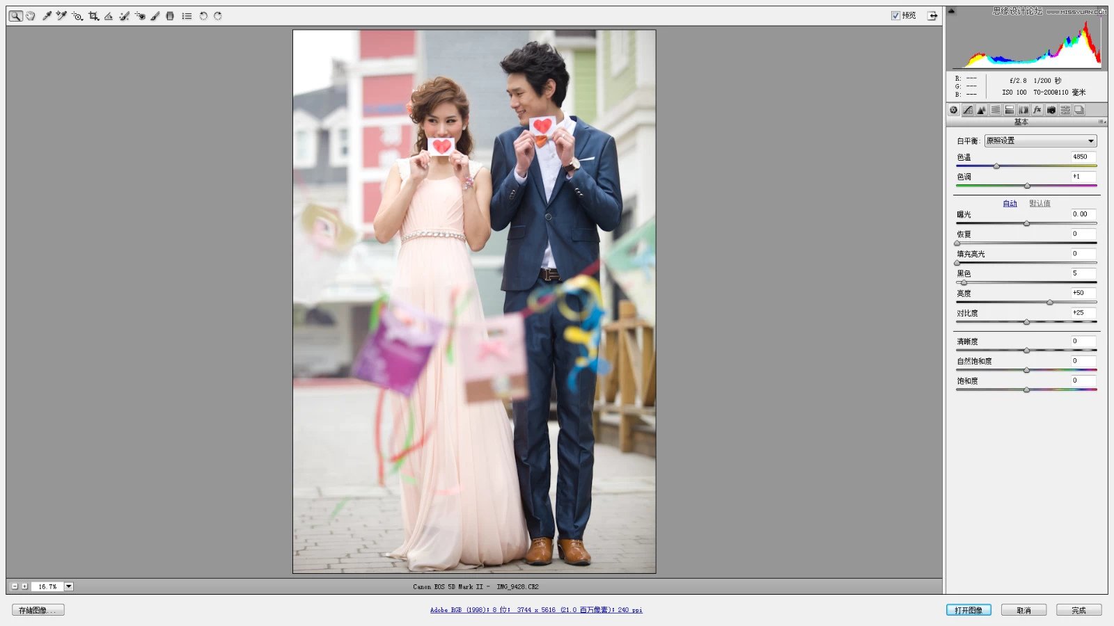 Photoshop调出婚纱照片韩式小清新效果图,PS教程,PS家园网