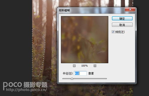 Photoshop给森林人像添加甜美的逆光效果,PS教程,PS家园网
