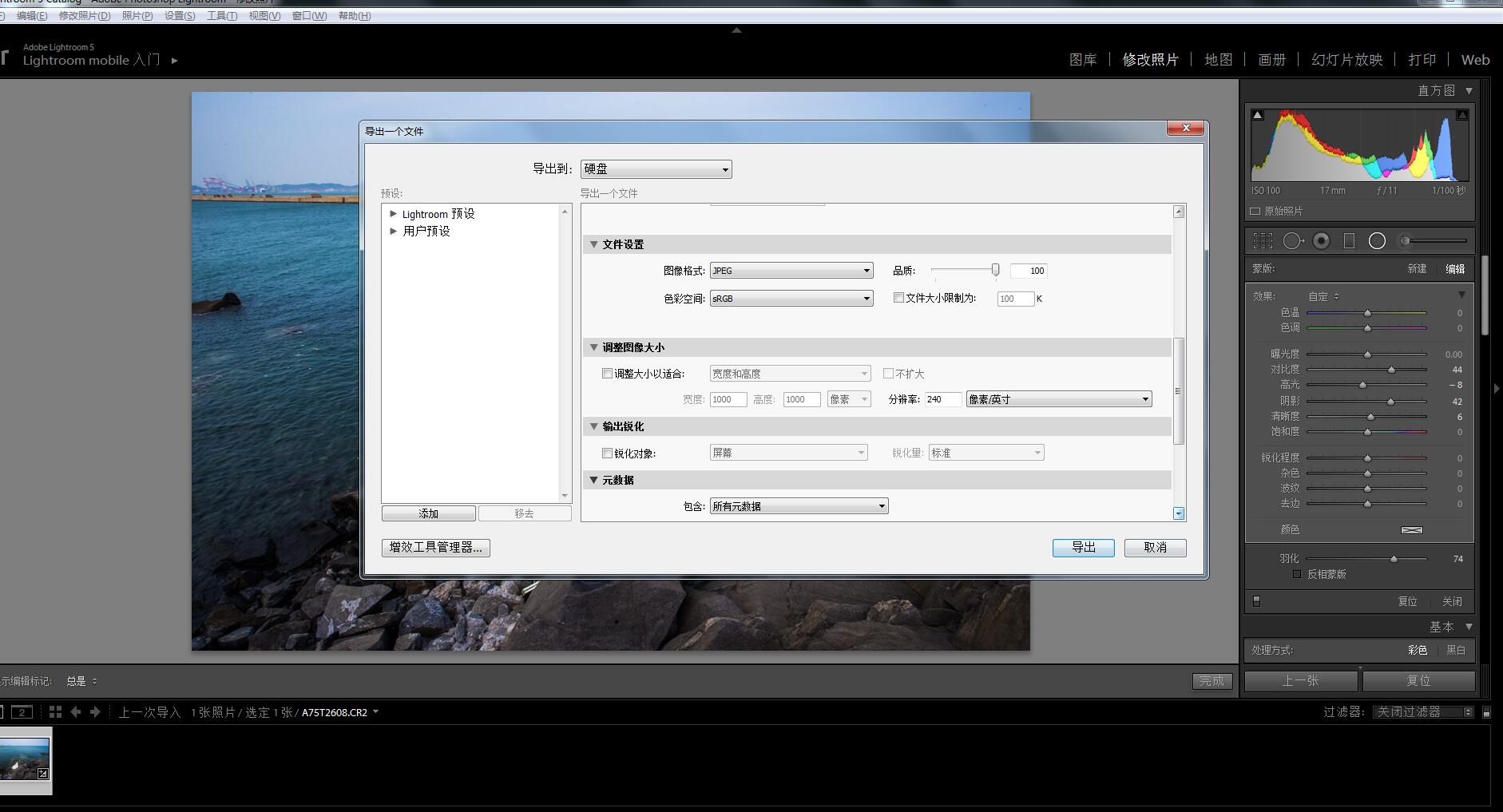 Photoshop调出时尚大气的海边婚纱人像效果