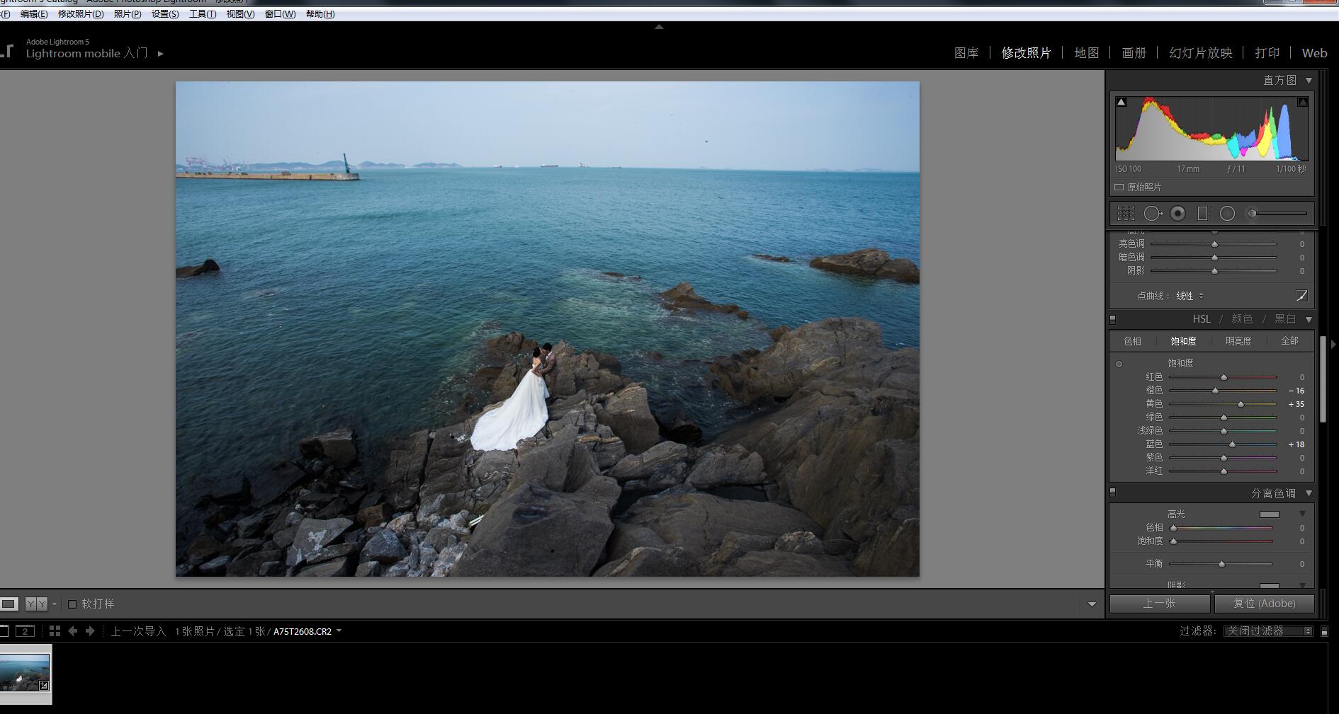 Photoshop调出时尚大气的海边婚纱人像效果