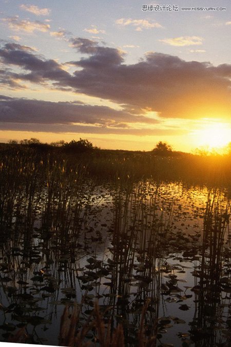 Photoshop给外景果子照片添加黄昏金黄色调