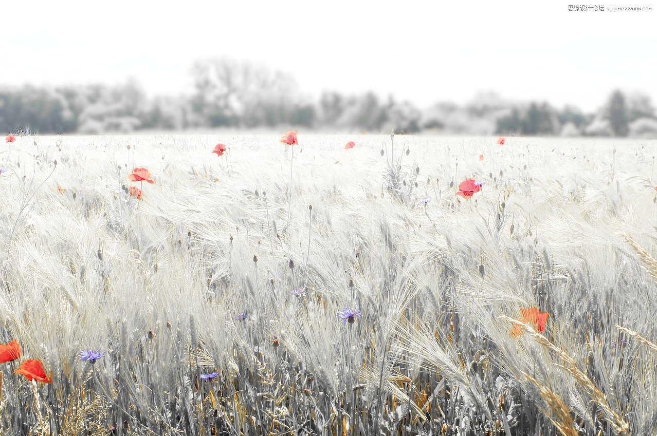 Photoshop给风景照片局部色彩处理效果技巧