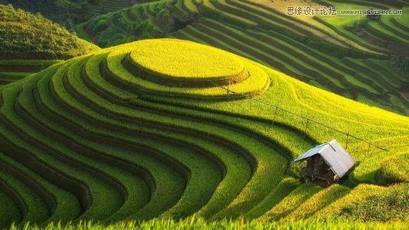 Photoshop详细教您把照片做成手绘效果图