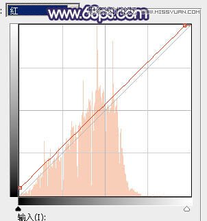 Photoshop调出草地女孩秋季暖黄效果
