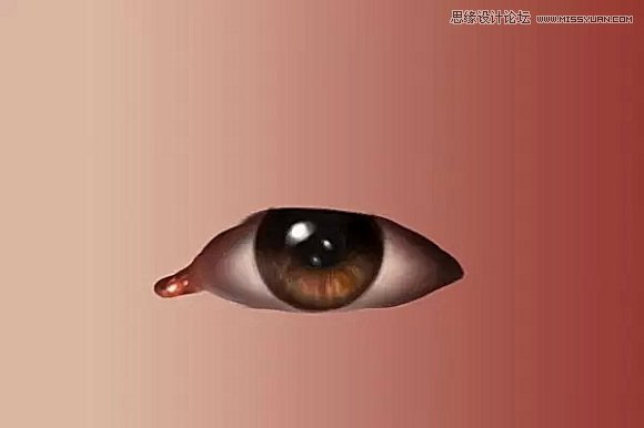 Photoshop绘制超逼真的人像眼睛效果