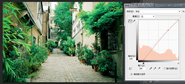 Photoshop调出社区照片日系胶片质感效果