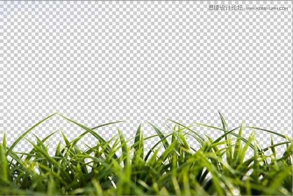 Photoshop巧用色彩范围抠出小草效果图