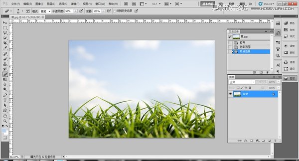 Photoshop巧用色彩范围抠出小草效果图