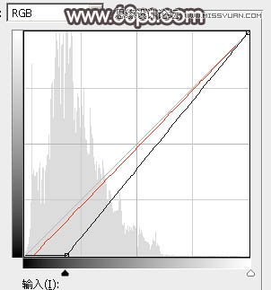 Photoshop调出河边女孩暗调红褐色效果