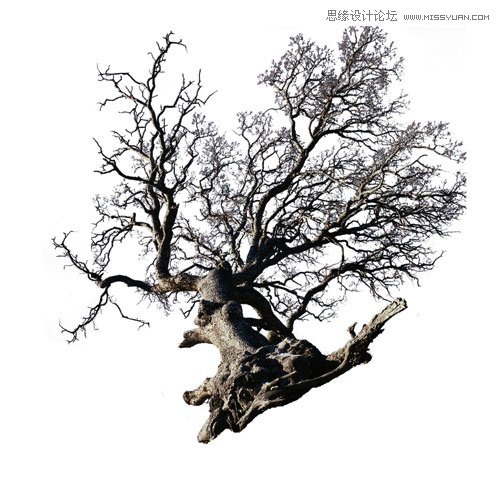 Photoshop合成正在操控魔法书的巫师教程