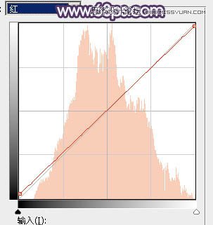 Photoshop调出人像照片唯美暗红色调