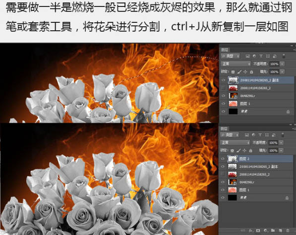 Photoshop制作烈焰中燃烧的玫瑰效果图