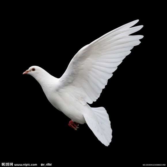 Photoshop设计超酷的2015海报教程