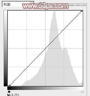 Photoshop调出铁轨美女梦幻柔色效果