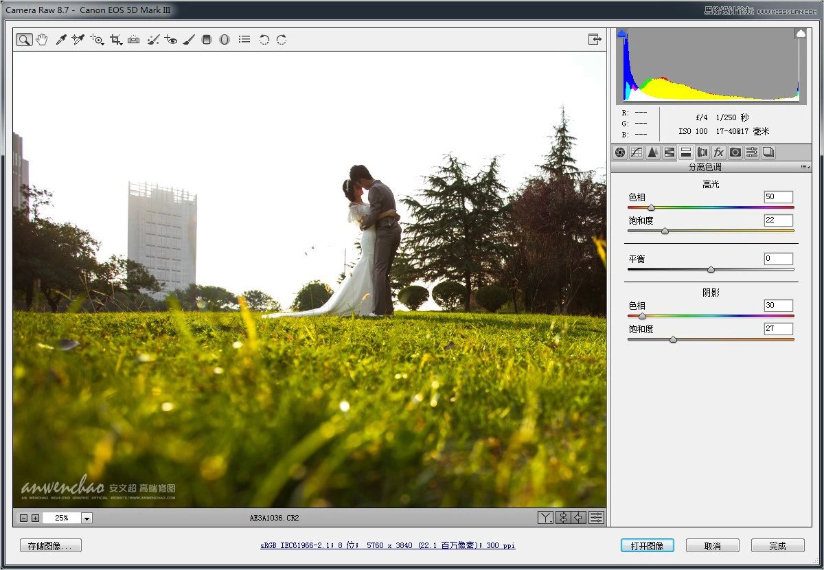 Photoshop调出小清新的外景婚片效果图