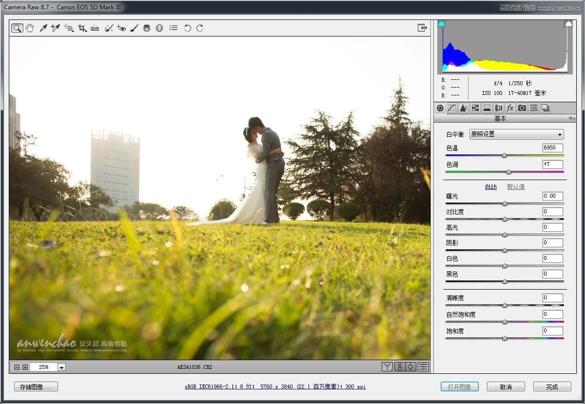 Photoshop调出小清新的外景婚片效果图
