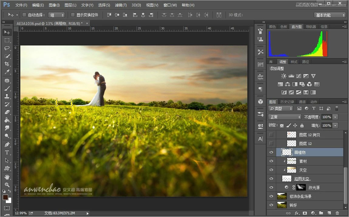 Photoshop调出小清新的外景婚片效果图