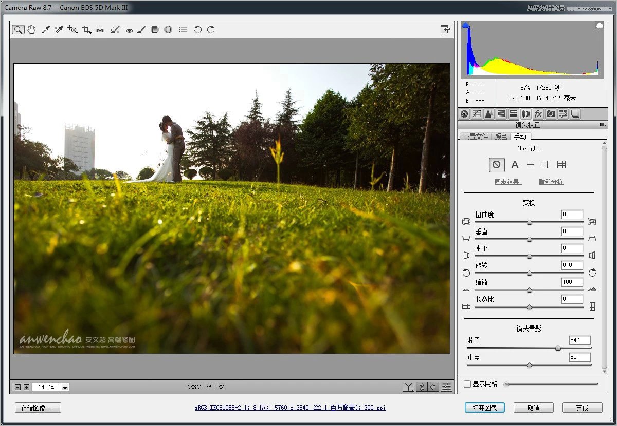 Photoshop调出小清新的外景婚片效果图