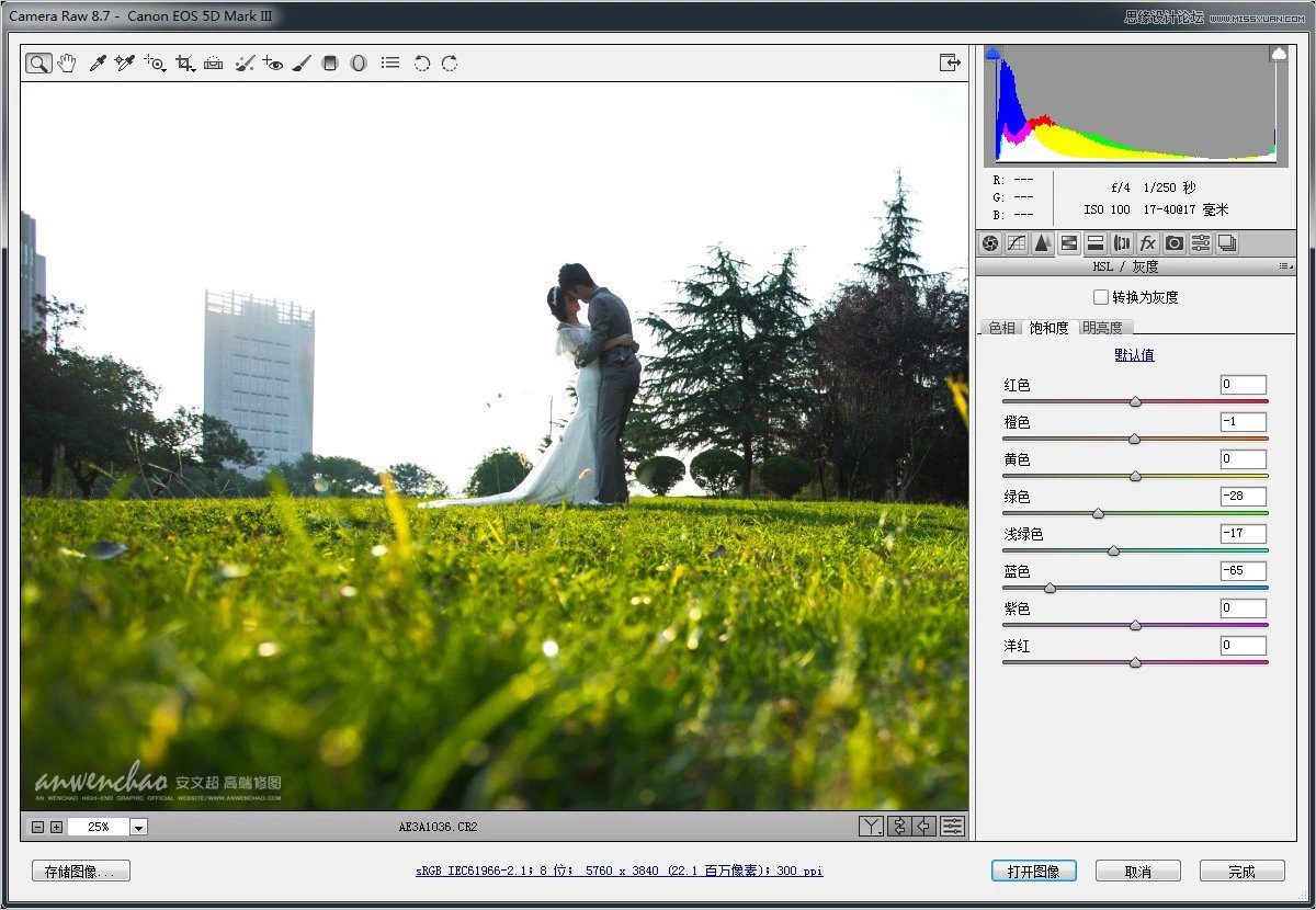 Photoshop调出小清新的外景婚片效果图