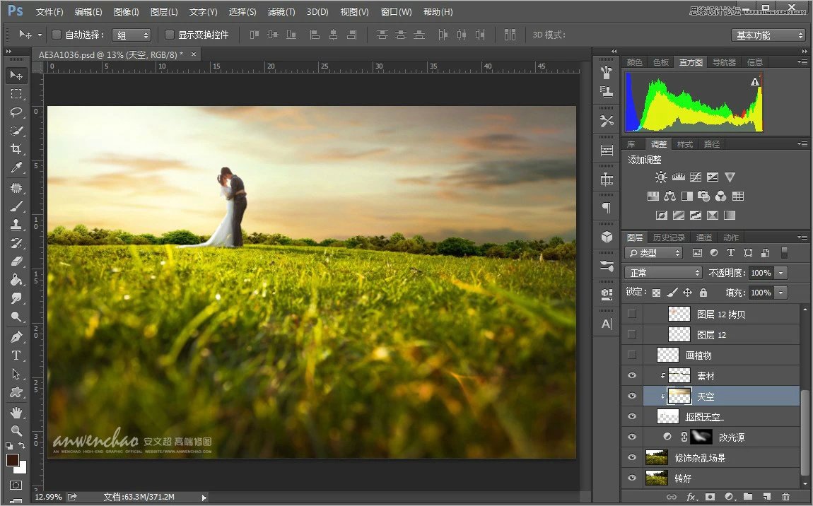Photoshop调出小清新的外景婚片效果图