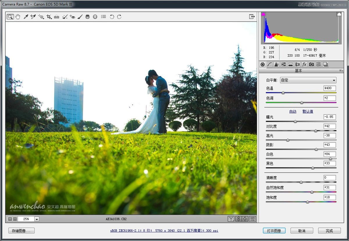 Photoshop调出小清新的外景婚片效果图