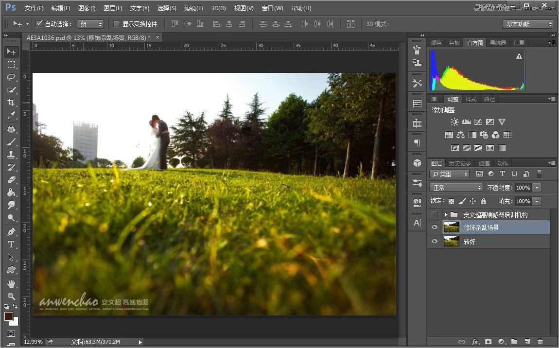 Photoshop调出小清新的外景婚片效果图
