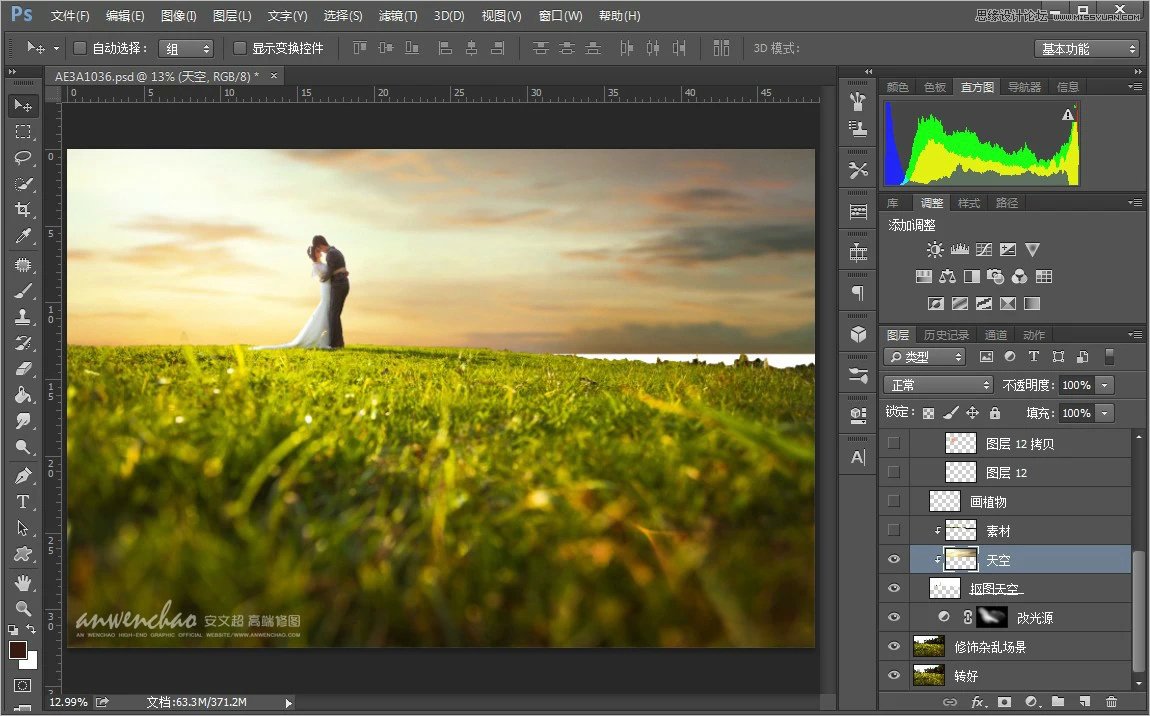 Photoshop调出小清新的外景婚片效果图