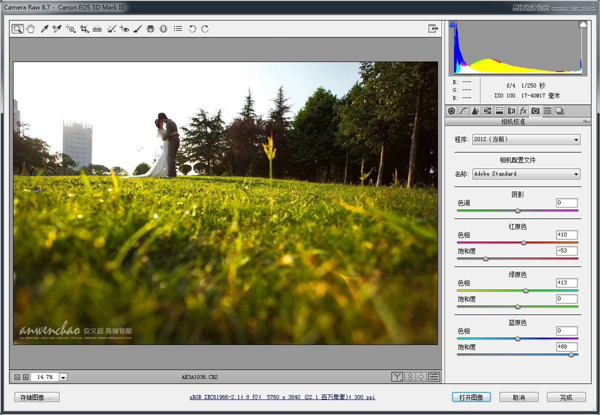 Photoshop调出小清新的外景婚片效果图