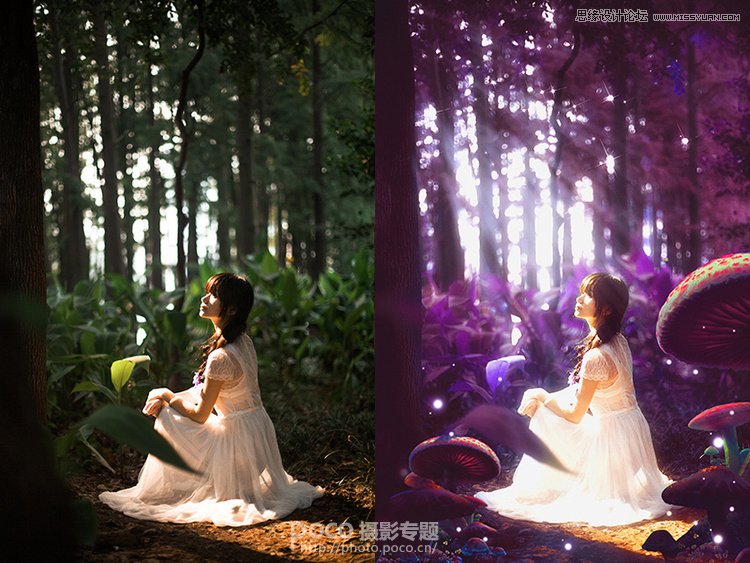 Photoshop调出梦幻风格的森林公主场景图