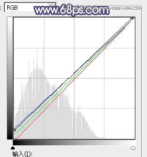 Photoshop调出美女照片秋季橙黄色调