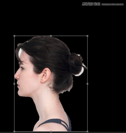 Photoshop使用滤镜和画笔制作人像插画效果